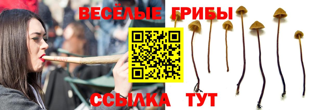 Псилоцибиновые грибы мицелий  Вход с VPN  Галлюциногенные грибы MAGIC MUSHROOMS  Красноярск 